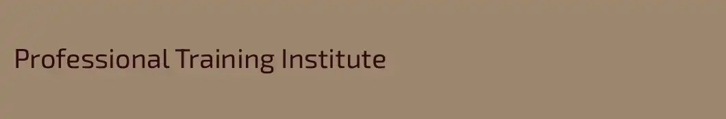 Professional Training Institute